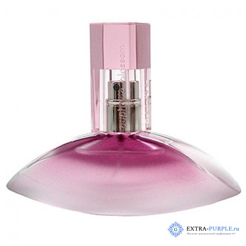 Calvin Klein Euphoria Blossom