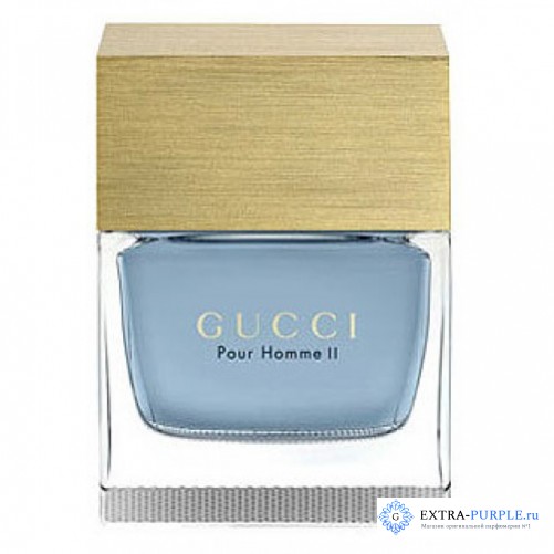 Gucci Pour Homme 2
