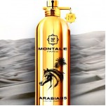 Montale Arabians